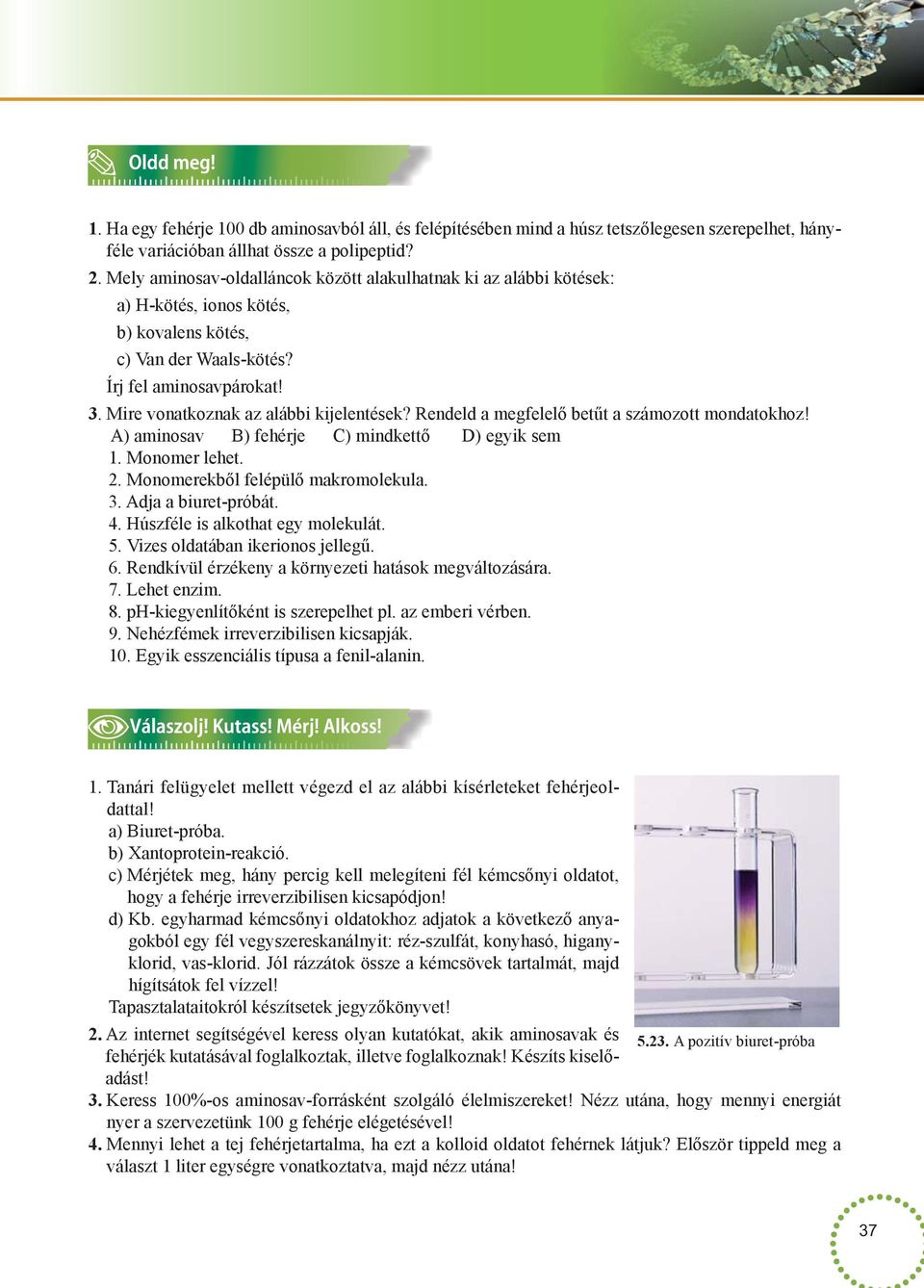 Mire vonatkoznak az alábbi kijelentések? Rendeld a megfelelő betűt a számozott mondatokhoz! A) aminosav B) fehérje ) mindkettő D) egyik sem 1. Monomer lehet. 2. Monomerekből felépülő makromolekula. 3.