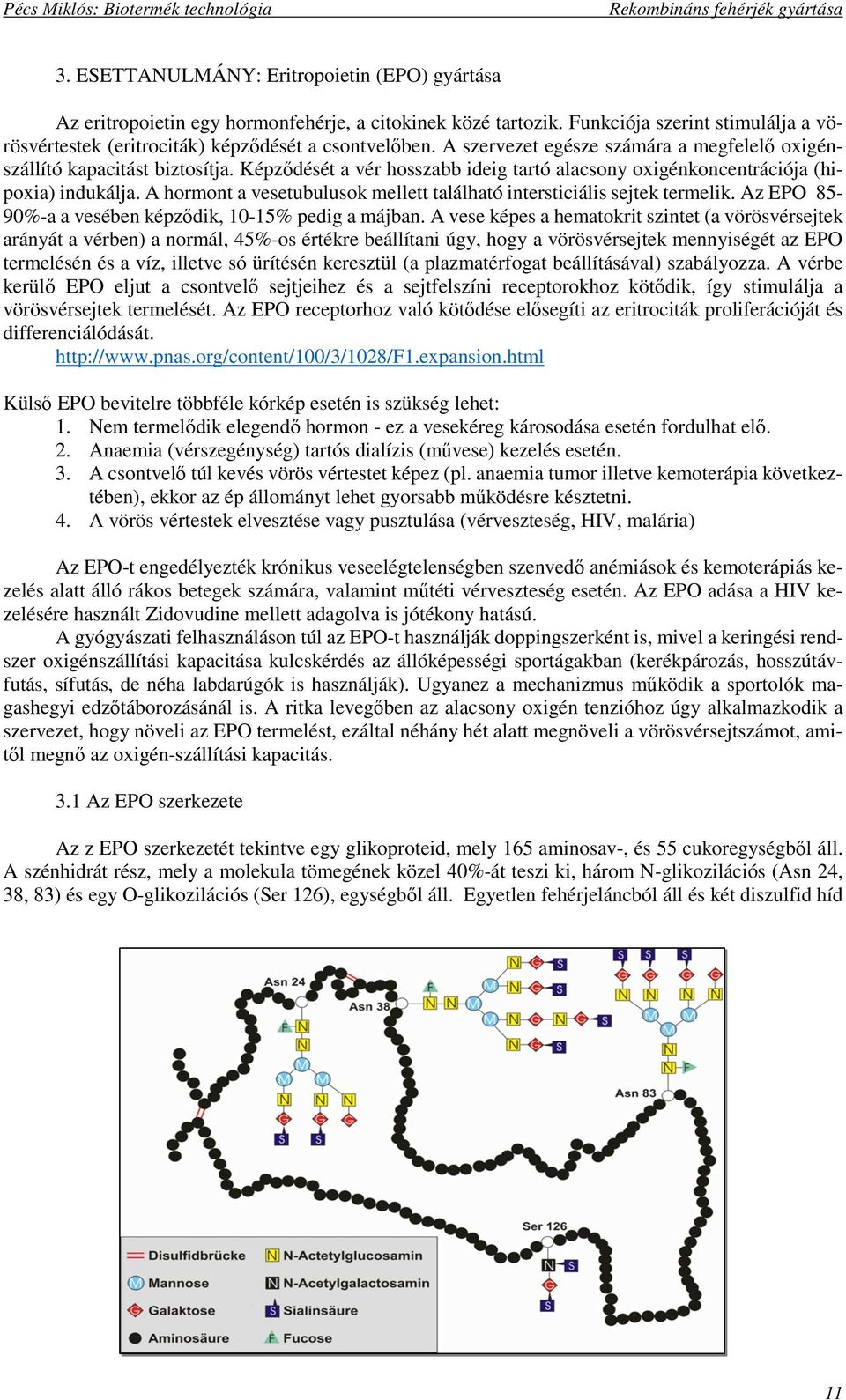 A hormont a vesetubulusok mellett található intersticiális sejtek termelik. Az EPO 85-90%-a a vesében képződik, 10-15% pedig a májban.