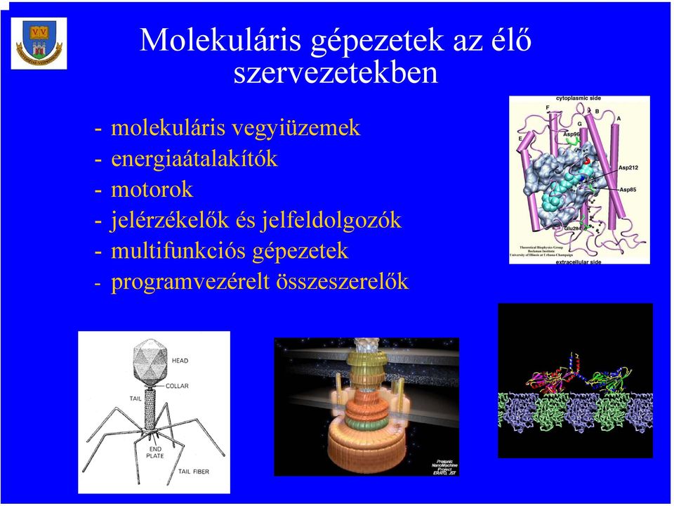 motorok - jelérzékelők és jelfeldolgozók -