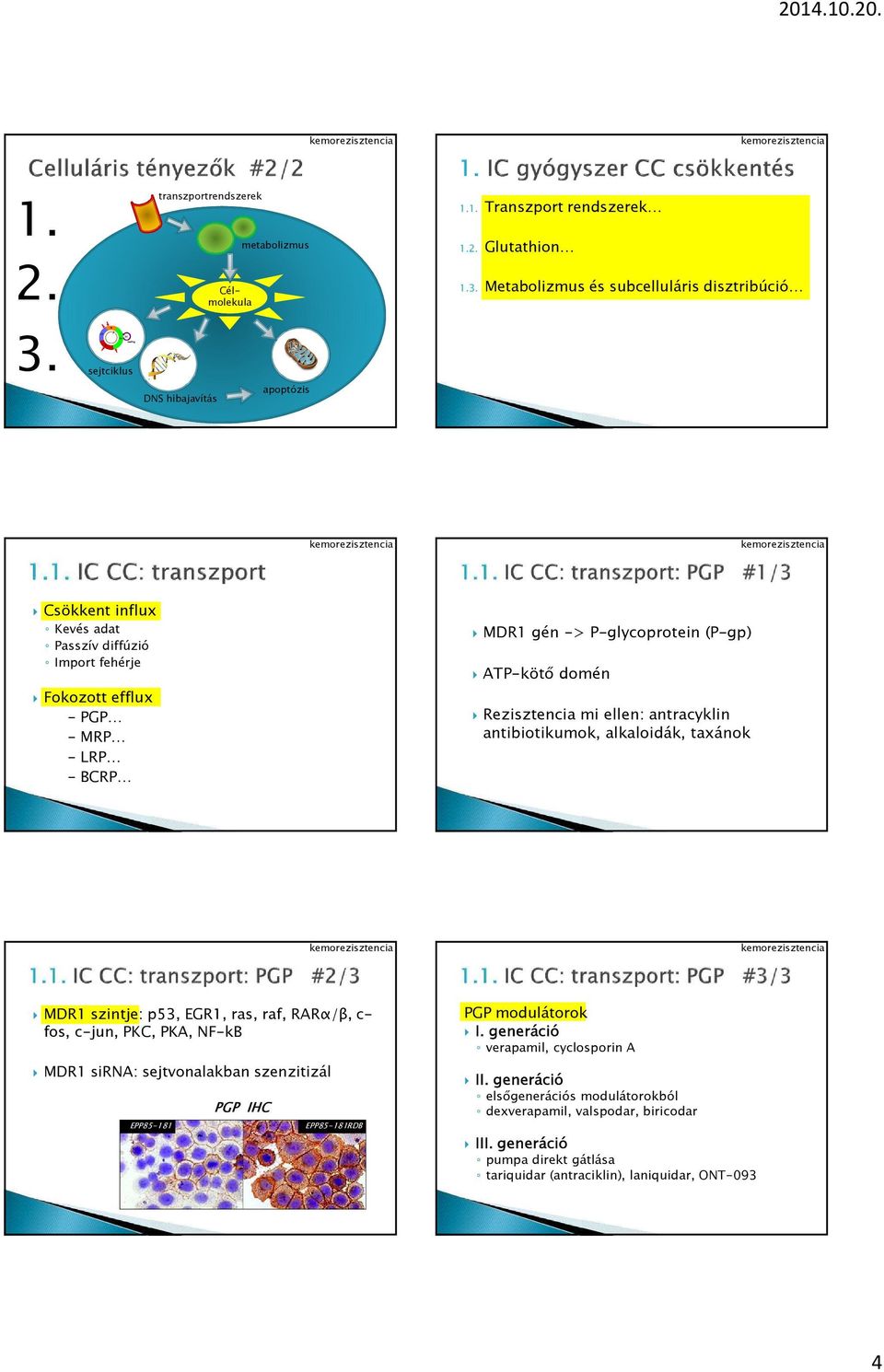 Rezisztencia mi ellen: antracyklin antibiotikumok, alkaloidák, taxánok MDR szintje: p53, EGR, ras, raf, RARα/β, c- fos, c-jun, PKC, PKA, NF-kB MDR sirna: sejtvonalakban szenzitizál