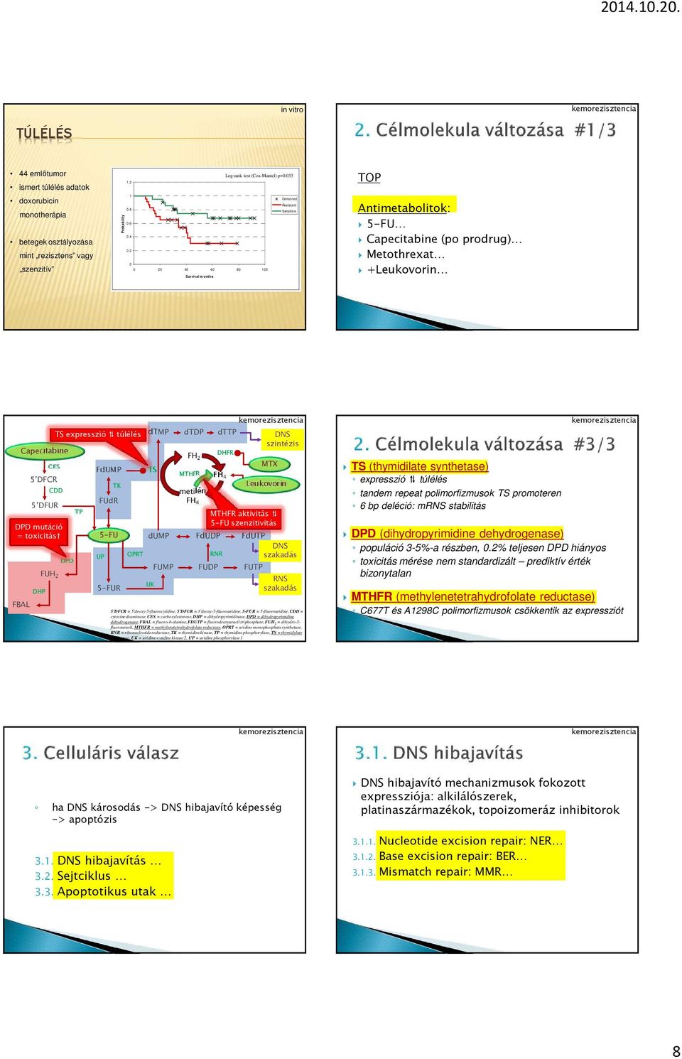 DPD TP FdUMP TK FUdR 5-FU UP 5-FUR OPRT dtmp TS dump UK dtdp dttp FH 2 MTHFR metilén FH 4 FdUDP RNR DHFR FH 4 FUMP FUDP FUTP DNS szintézis MTX Leukovorin MTHFR aktivitás 5-FU szenzitivitás FdUTP DNS