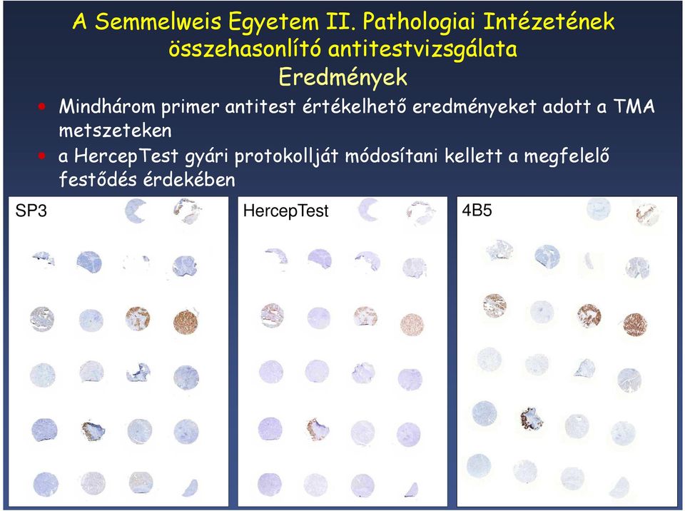 Eredmények Mindhárom primer antitest értékelhető eredményeket adott