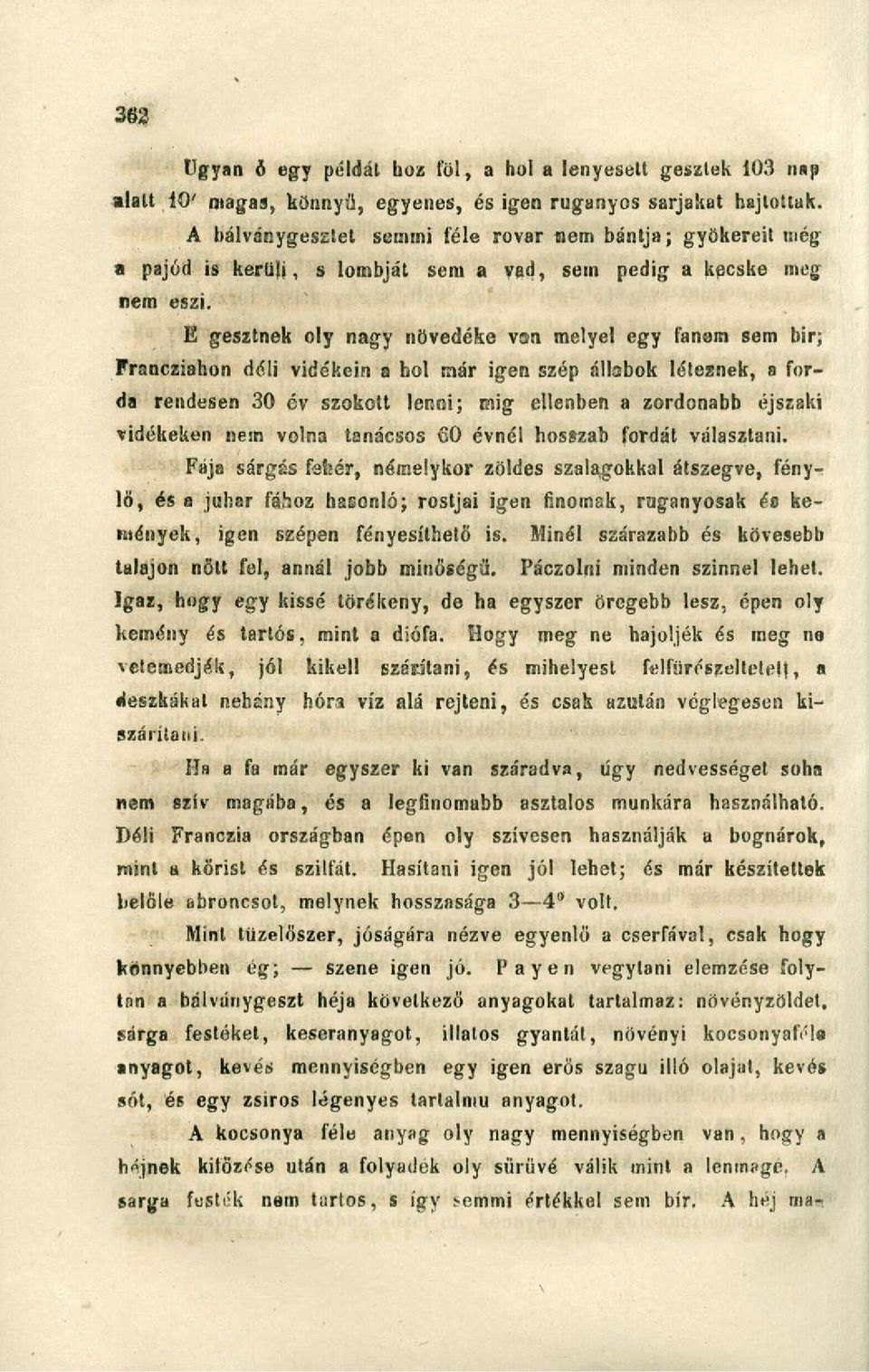 E gesztnek oly nagy növedéke von melyei egy fanem sem bir; Francziahon déli vidékein a hol már igen szép állabok létesnek, a forda rendesen 30 év szokott lenni; mig ellenben a zordonabb éjszaki