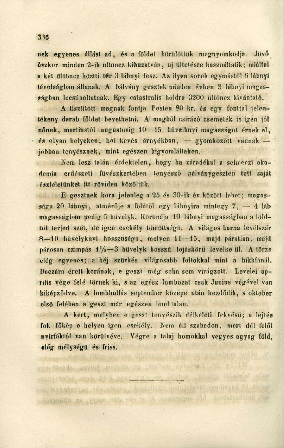 A tisztított magnak fontja Pesten 80 kr. és egy fonttal jelentékeny darab főidet bevethetni.