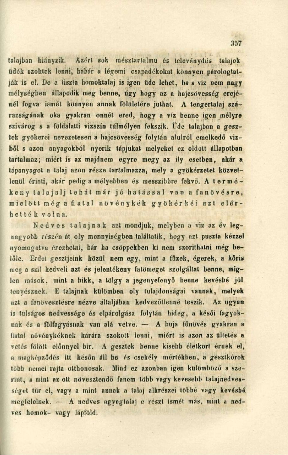 A tengertalaj szárazságának oka gyakran onnét ered, hogy a víz benne igen mélyre szivárog s a földalatti vizszín túlmélyen fekszik.