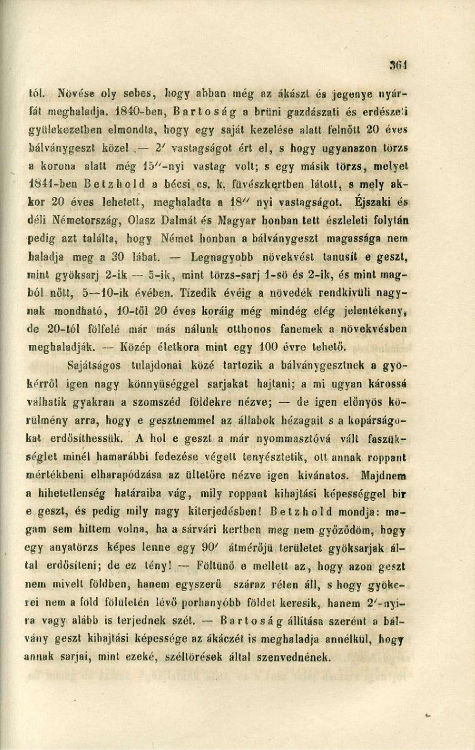 2' vastagságot ért el, s hogy ugyanazon törzs a korona alatt még ls^-nyi vastag volt; s egy másik törzs, melyet 1841-ben Betzhold a bécsi cs.