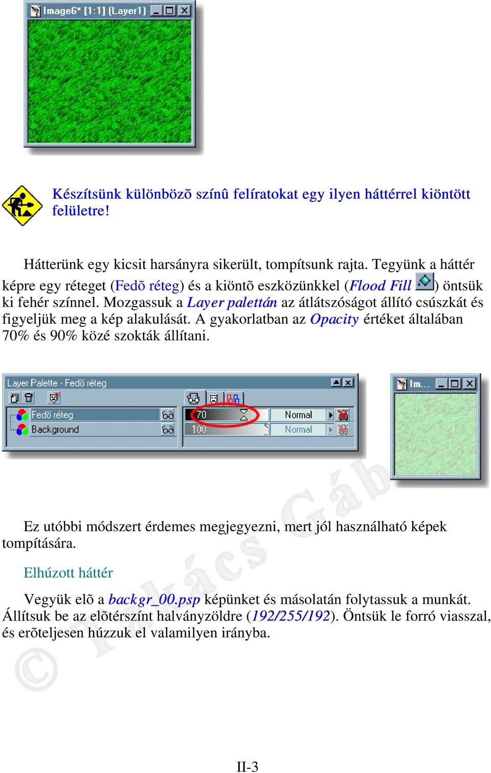 Mozgassuk a Layer palettán az átlátszóságot állító csúszkát és figyeljük meg a kép alakulását. A gyakorlatban az Opacity értéket általában 70% és 90% közé szokták állítani.