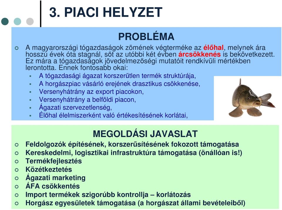 Ennek fontosabb okai: A tógazdasági ágazat korszerűtlen termék struktúrája, A horgászpiac vásárló erejének drasztikus csökkenése, Versenyhátrány az export piacokon, Versenyhátrány a belföldi piacon,