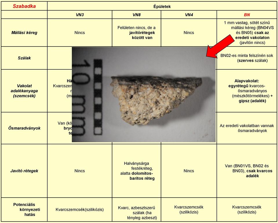 (BN04VS és BN05) csak az eredeti vakolaton (javítón nincs) BN02-es minta felszínén sok (szerves szálak) egyű kvarcosősmaradványos (mészkőtörmelékes) + gipsz (adalék) Van (középső ben) bryozoa,