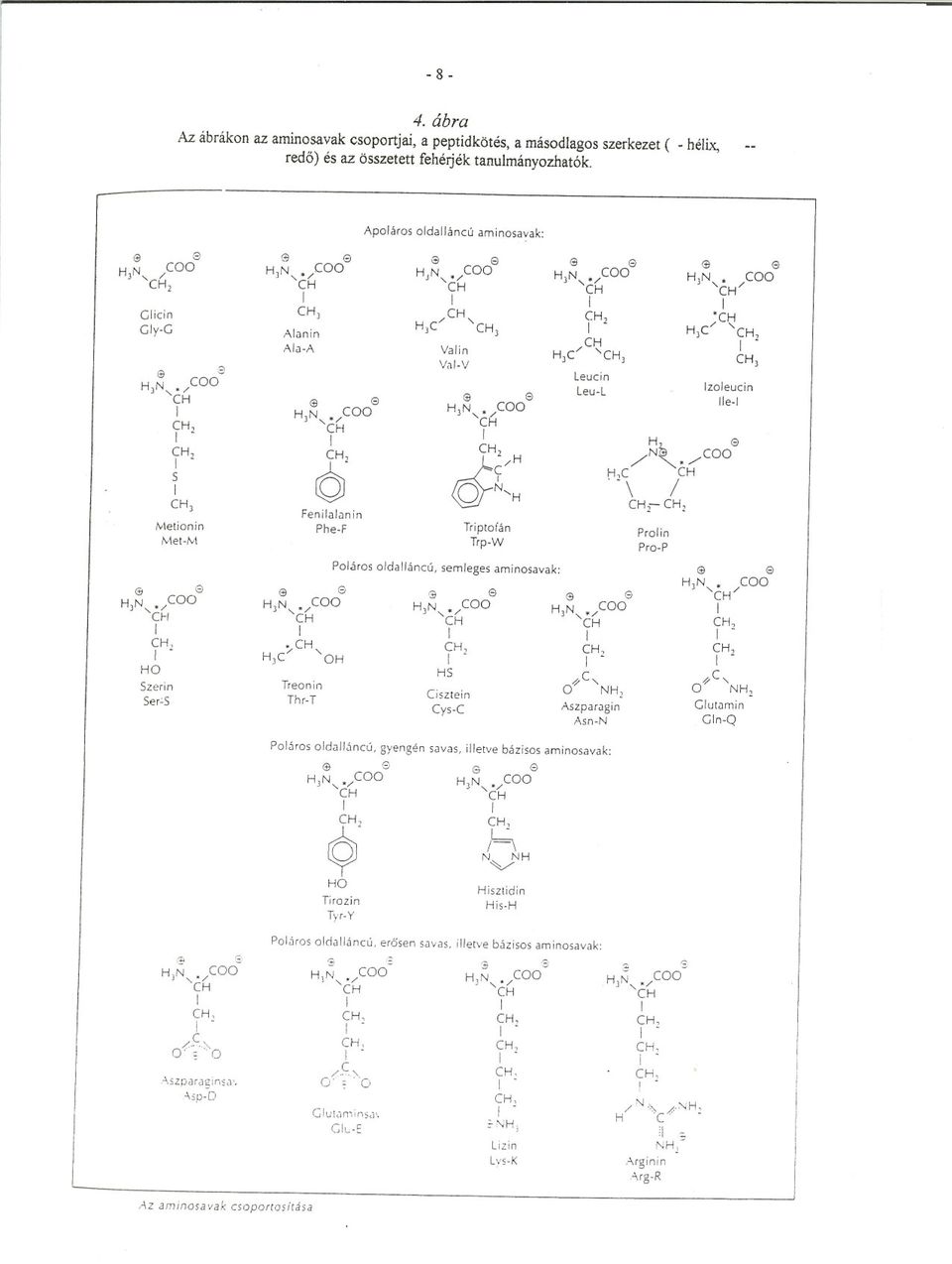 >"a-A e 83 e )N, 62 Fenilalanin Phe-F Treonin Thr-T Apo/áros oldalláncú aminosavak: Poláros oldalláncú, EJ JN, e / JC ' ) )N, Valin Val-V Triptofán Trp-W semleges aminosavak: 3 e - S Cisz te in Cys-C