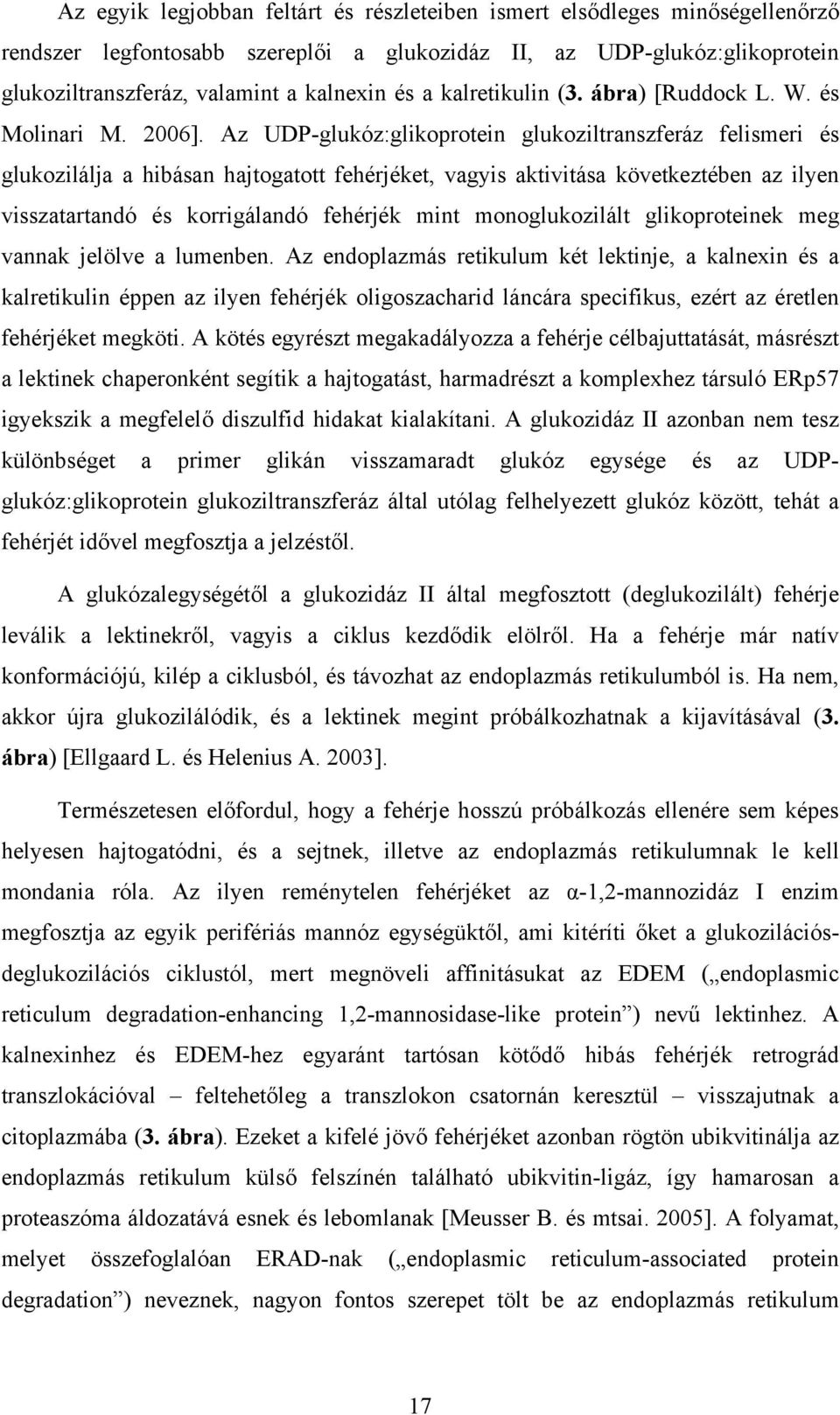 Az UDP-glukóz:glikoprotein glukoziltranszferáz felismeri és glukozilálja a hibásan hajtogatott fehérjéket, vagyis aktivitása következtében az ilyen visszatartandó és korrigálandó fehérjék mint