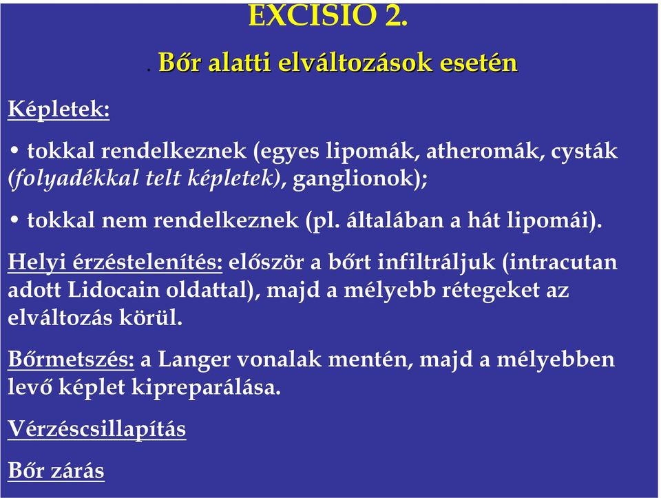 telt képletek), ganglionok); tokkal nem rendelkeznek (pl. általában a hát lipomái).