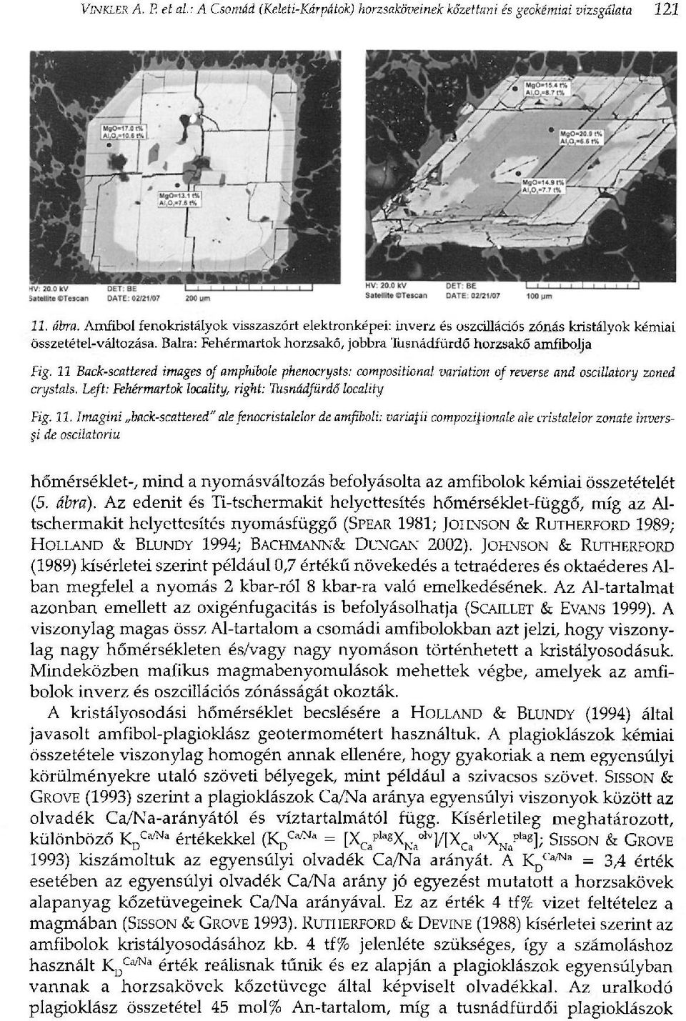 11 Back-scattered images of amphibole phenocrysts: compositional variation of reverse and oscillatory zoned crystals. Lejt: Pehérmartok locality, right: Tusnádfürdő locality Fig. 11.