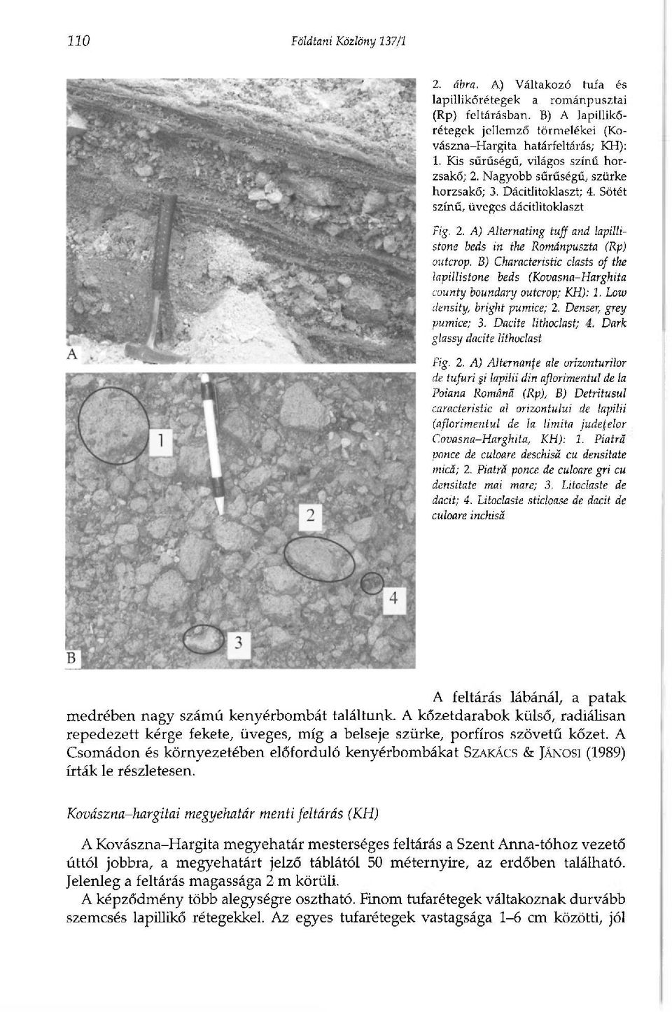 B) Characteristic clasts of the lapillistone beds (Kovasna-Harghita county boundary outcrop; KH): 1. Low density, bright pumice; 2. Denser, grey pumice; 3. Dacite lithoclast; 4.