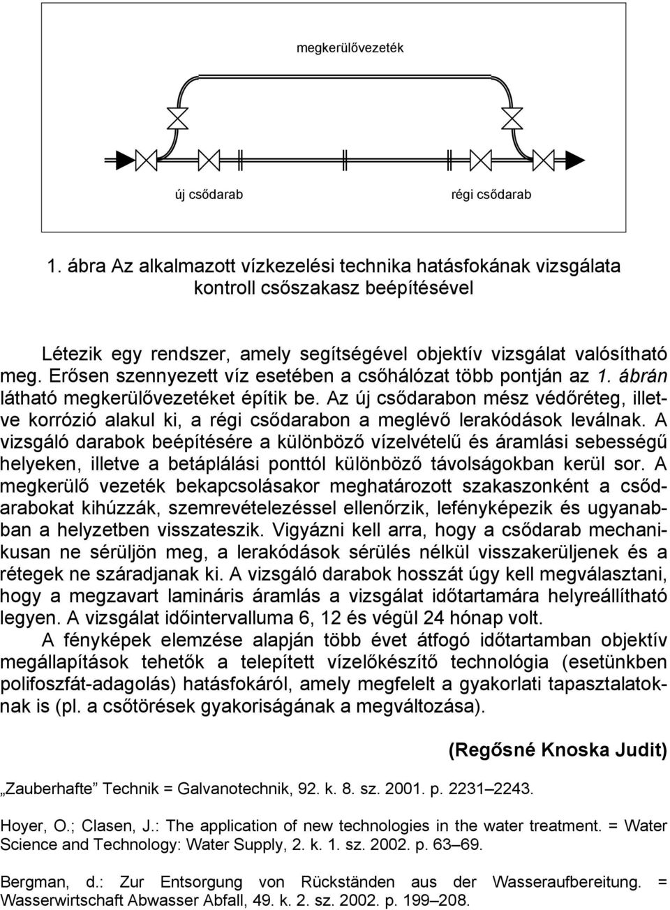 Erősen szennyezett víz esetében a csőhálózat több pontján az 1. ábrán látható megkerülővezetéket építik be.