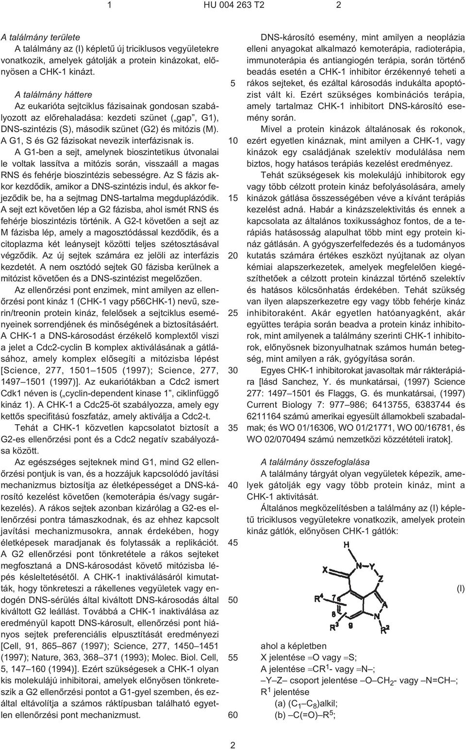 A G1, S és G2 fázisokat nevezik interfázisnak is. A G1¹ben a sejt, amelynek bioszintetikus útvonalai le voltak lassítva a mitózis során, visszaáll a magas RNS és fehérje bioszintézis sebességre.