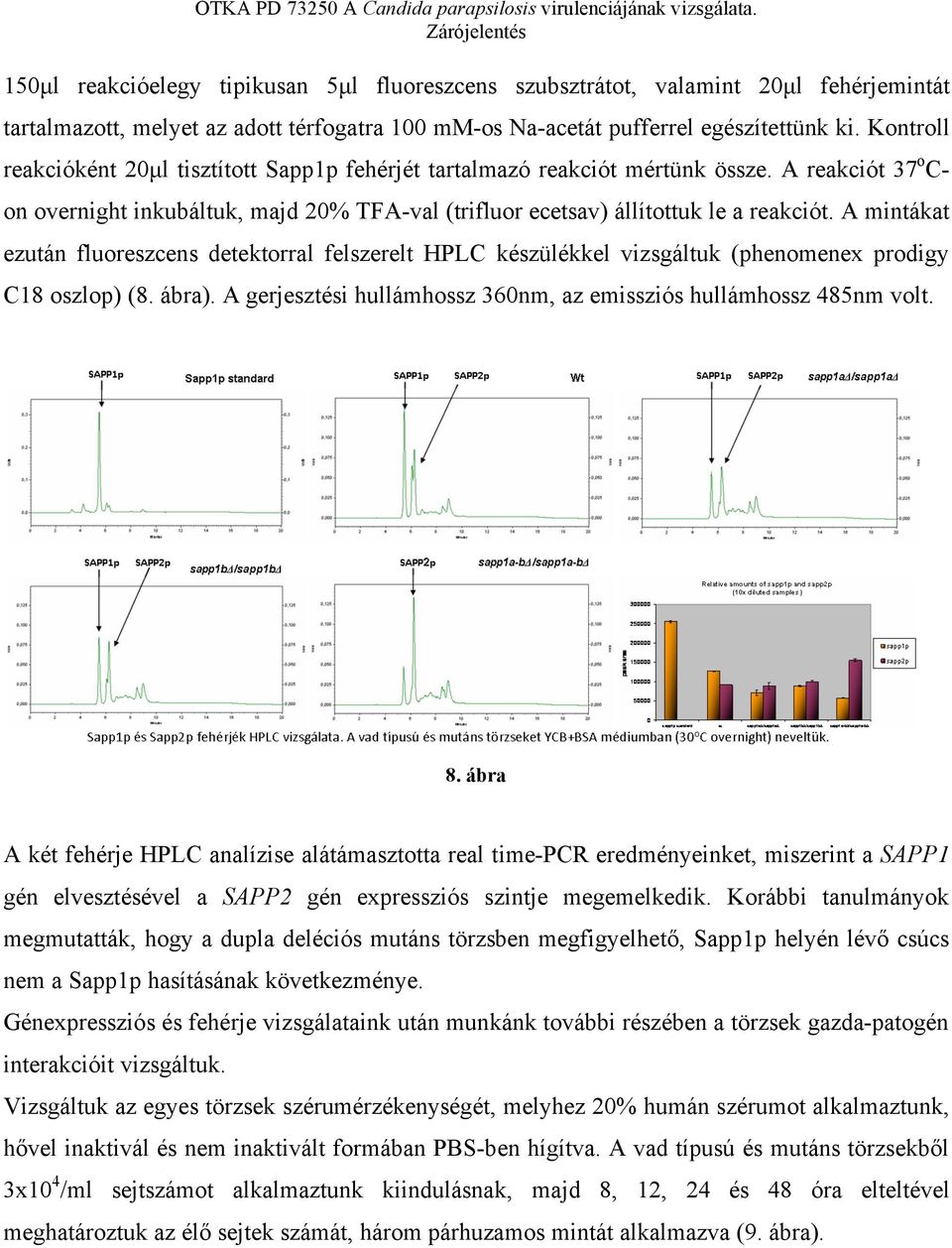 A mintákat ezután fluoreszcens detektorral felszerelt HPLC készülékkel vizsgáltuk (phenomenex prodigy C18 oszlop) (8. ábra). A gerjesztési hullámhossz 360nm, az emissziós hullámhossz 485nm volt. 8.