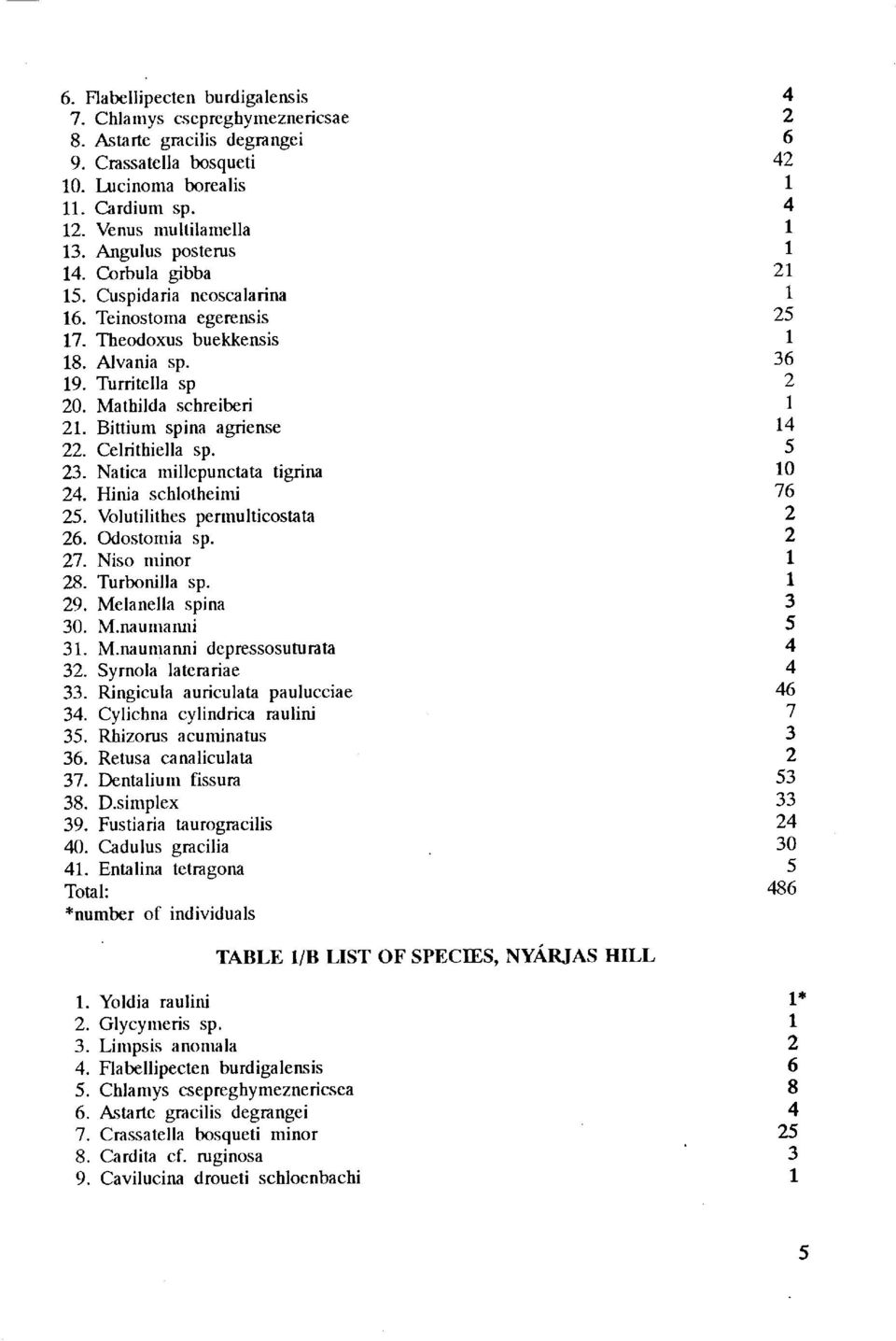 Bittium spina agriense 14 22. Celrithiella sp. 5 23. Natica millepunctata tigrina 10 24. Hinia schlotheimi 76 25. Volutilithes permül ti costa ta 2 26. Odostomia sp. 2 27. Niso minor 1 28.