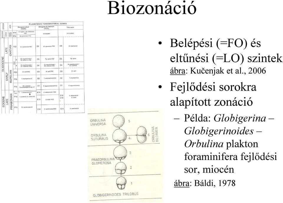 , 2006 Fejlıdési sorokra alapított zonáció Példa: