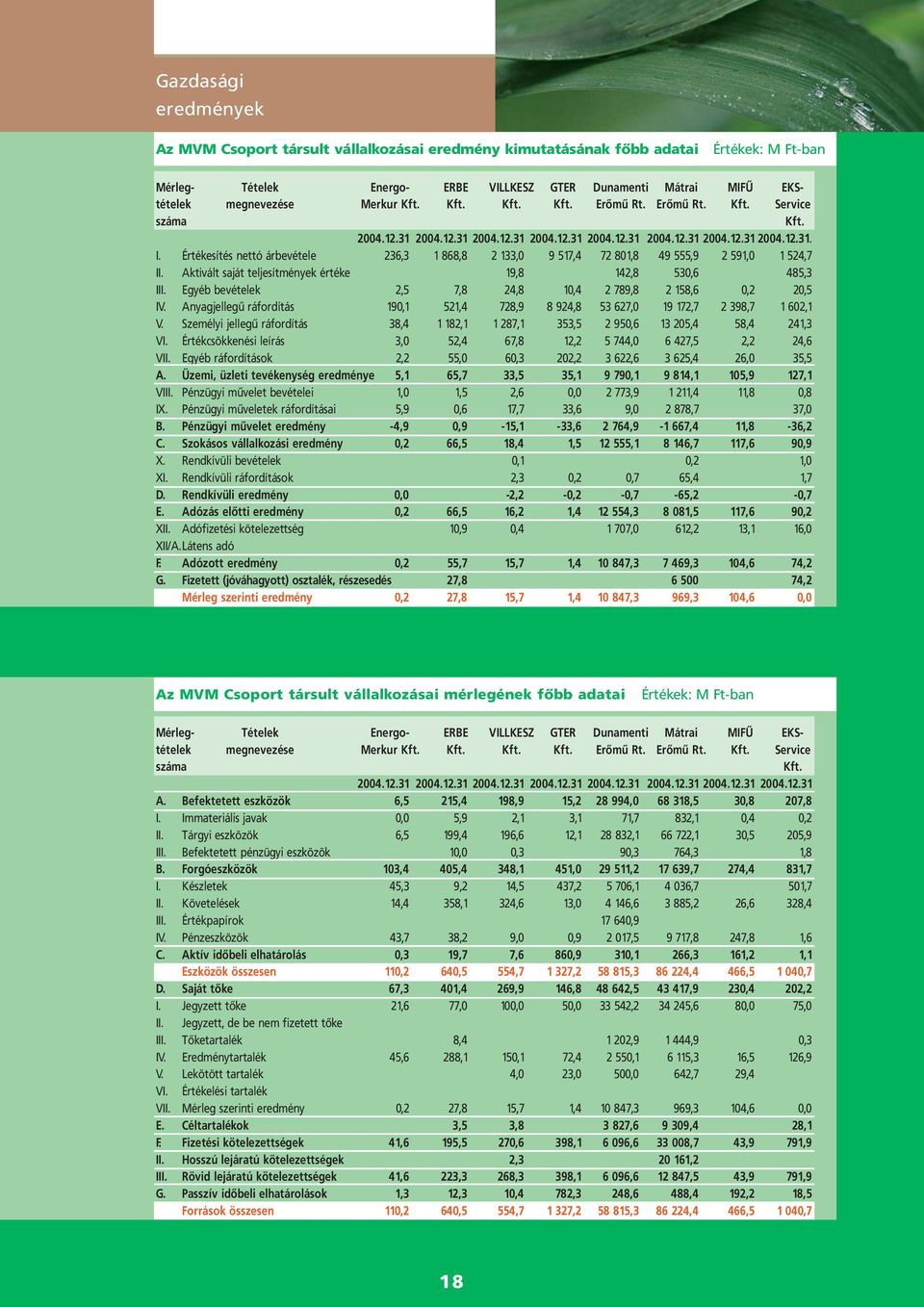 Értékesítés nettó árbevétele 236,3 1 868,8 2 133,0 9 517,4 72 801,8 49 555,9 2 591,0 1 524,7 II. Aktivált saját teljesítmények értéke 19,8 142,8 530,6 485,3 III.