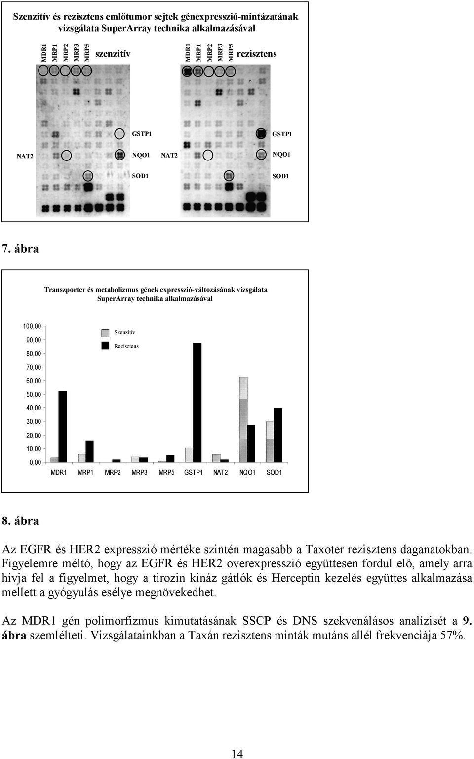 ábra Transzporter és metabolizmus gének expresszió-változásának vizsgálata SuperArray technika alkalmazásával 100,00 90,00 80,00 70,00 60,00 50,00 40,00 30,00 20,00 10,00 0,00 Szenzitív Rezisztens