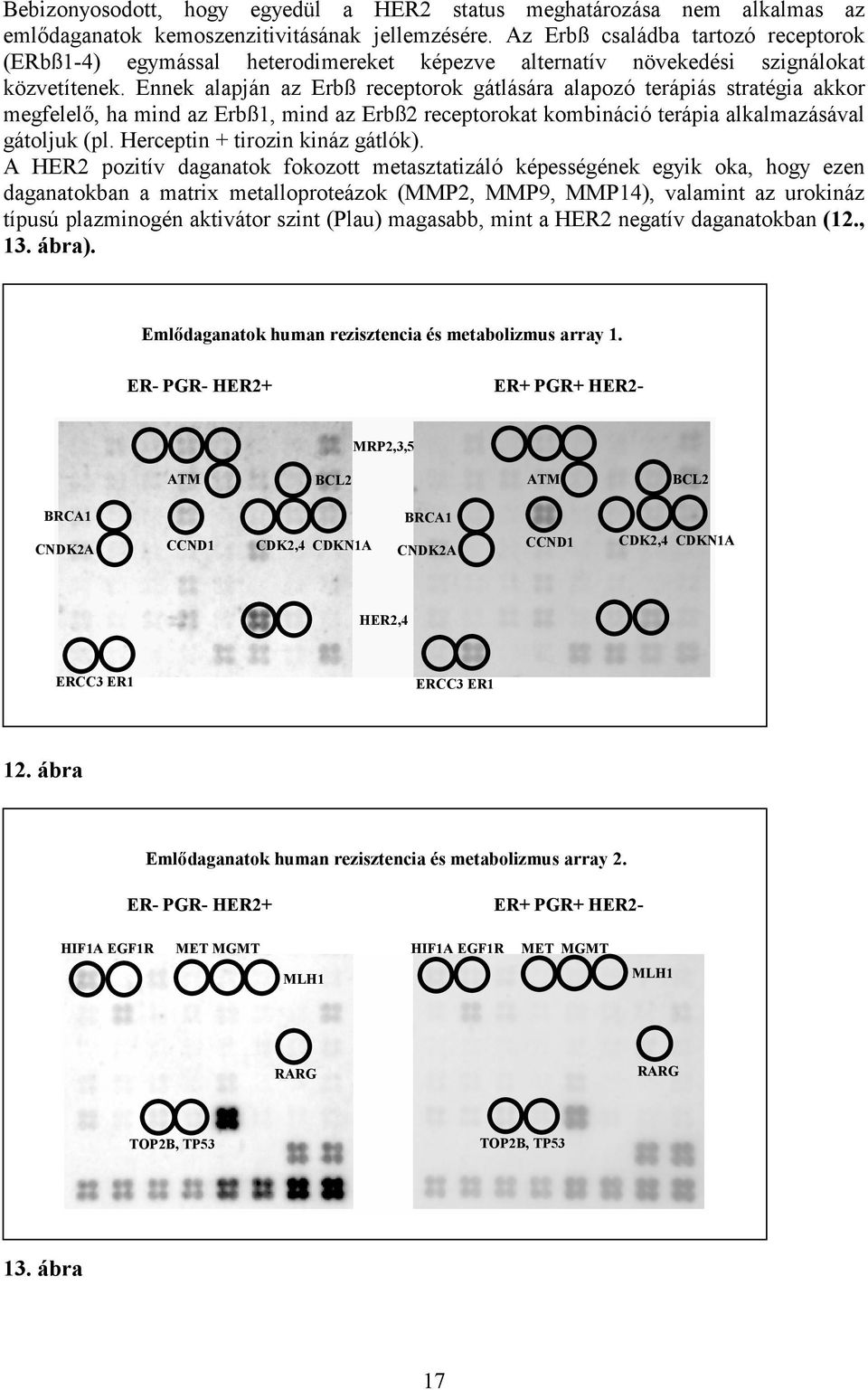 Ennek alapján az Erbß receptorok gátlására alapozó terápiás stratégia akkor megfelelő, ha mind az Erbß1, mind az Erbß2 receptorokat kombináció terápia alkalmazásával gátoljuk (pl.