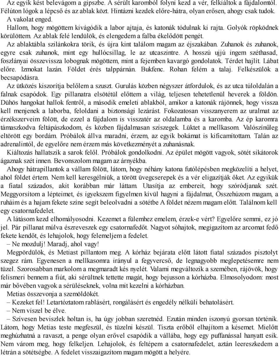 Az ablak felé len dü lök, és elen ge dem a falba éke lő dött pen gét. Az ablaktábla szilánkokra törik, és újra kint találom magam az éjszakában.