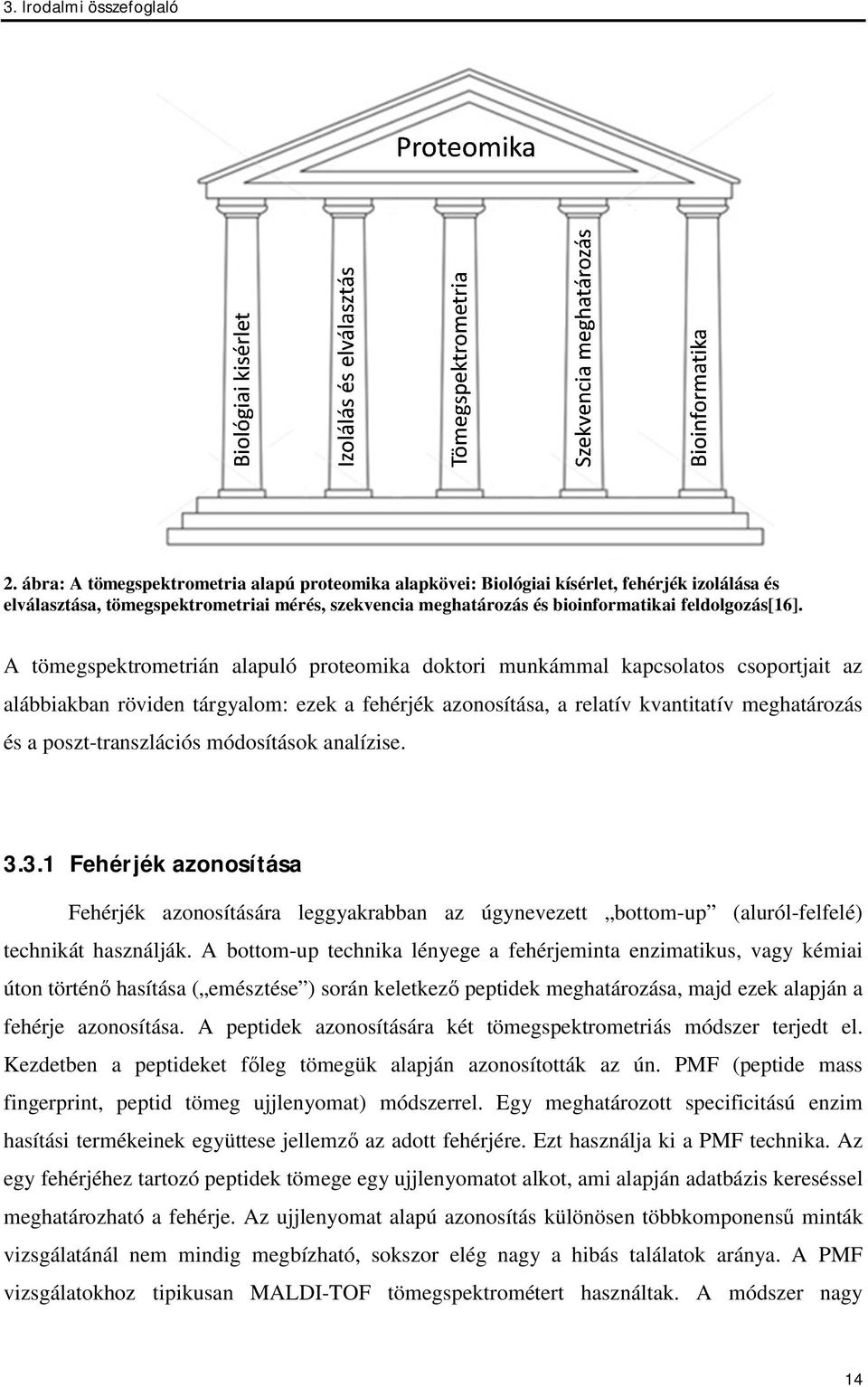 A tömegspektrometrián alapuló proteomika doktori munkámmal kapcsolatos csoportjait az alábbiakban röviden tárgyalom: ezek a fehérjék azonosítása, a relatív kvantitatív meghatározás és a