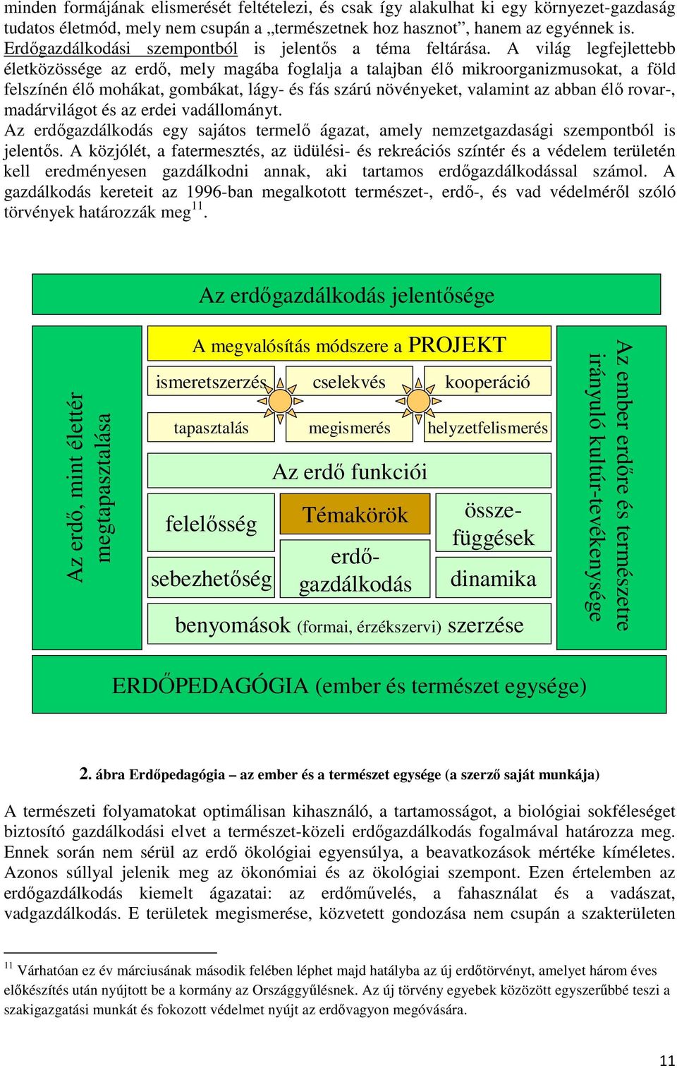 A világ legfejlettebb életközössége az erdő, mely magába foglalja a talajban élő mikroorganizmusokat, a föld felszínén élő mohákat, gombákat, lágy- és fás szárú növényeket, valamint az abban élő