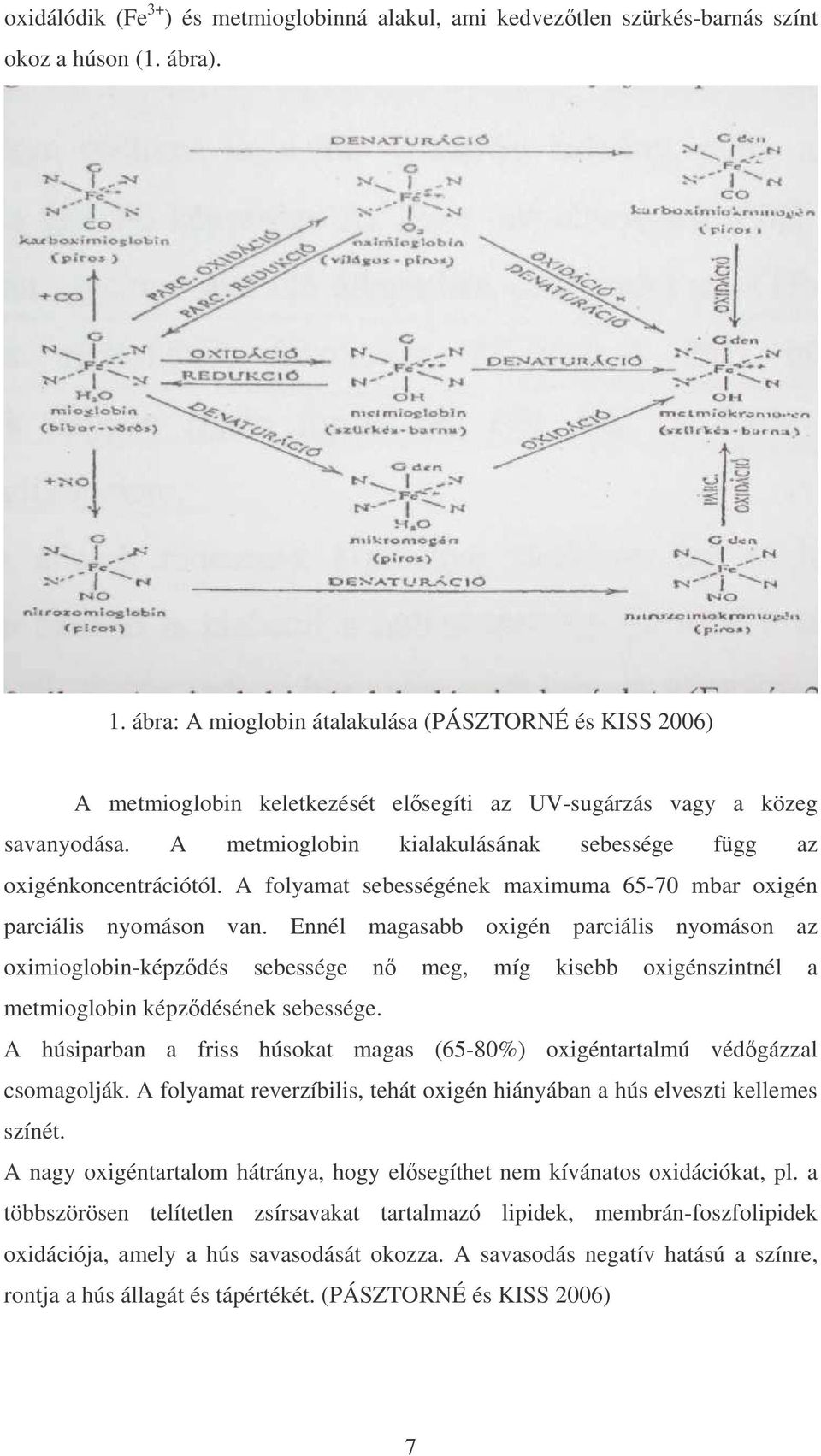 A metmioglobin kialakulásának sebessége függ az oxigénkoncentrációtól. A folyamat sebességének maximuma 65-70 mbar oxigén parciális nyomáson van.