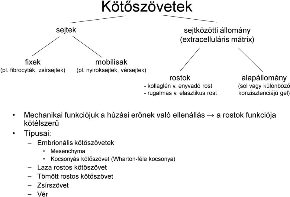 elasztikus rost alapállomány (sol vagy különböző konzisztenciájú gel) Mechanikai funkciójuk a húzási erőnek való ellenállás