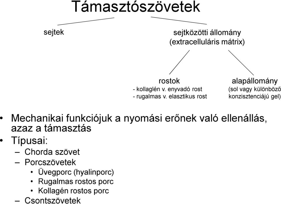 elasztikus rost alapállomány (sol vagy különböző konzisztenciájú gel) Mechanikai funkciójuk a