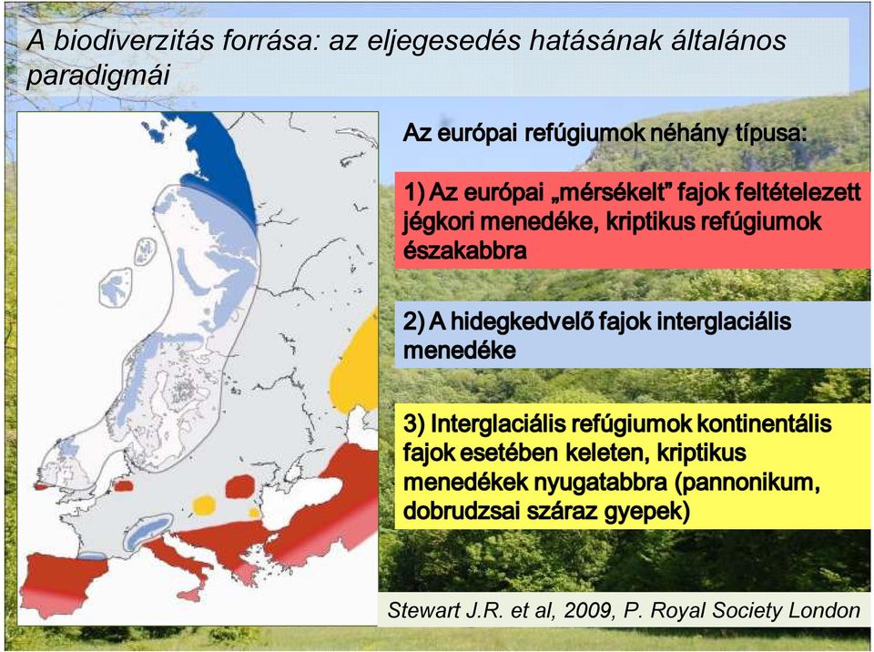 általános paradigmái Stewart