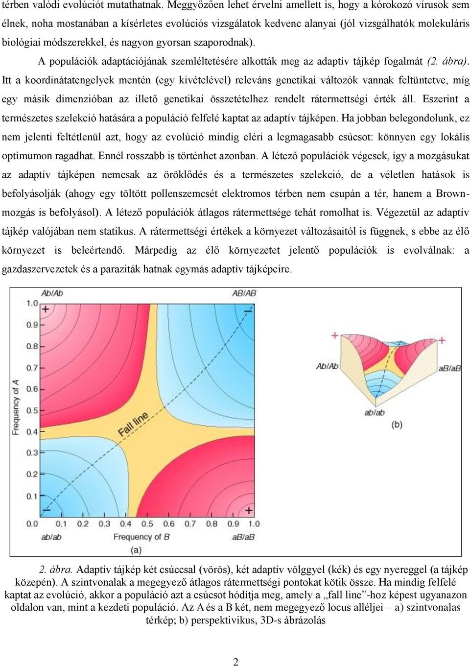 nagyon gyorsan szaporodnak). A populációk adaptációjának szemléltetésére alkották meg az adaptív tájkép fogalmát (2. ábra).