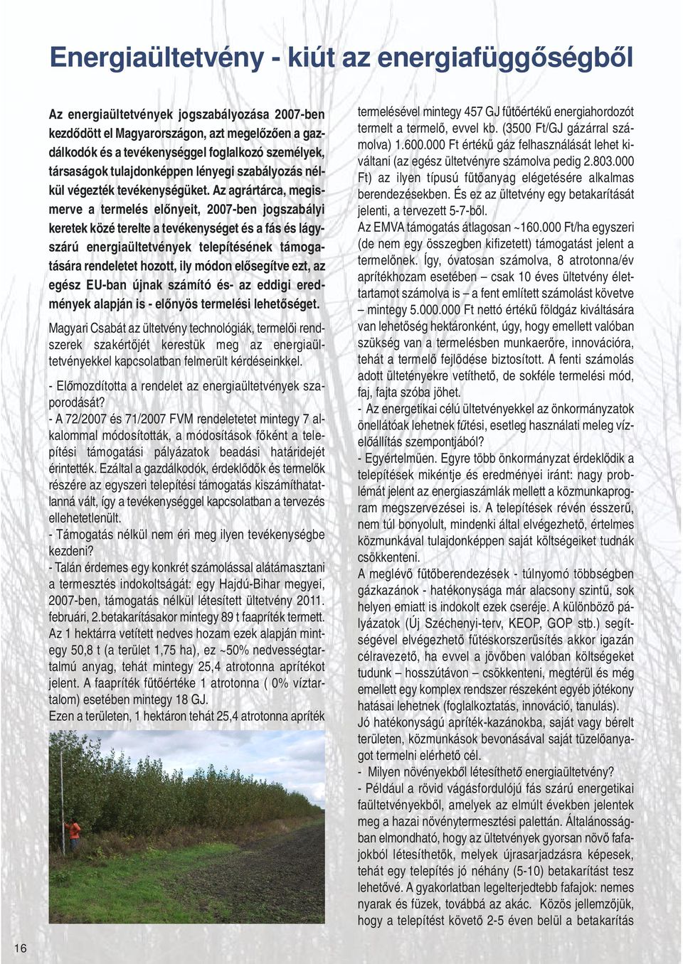 Az agrártárca, megismerve a termelés el nyeit, 2007-ben jogszabályi keretek közé terelte a tevékenységet és a fás és lágyszárú energiaültetvények telepítésének támogatására rendeletet hozott, ily