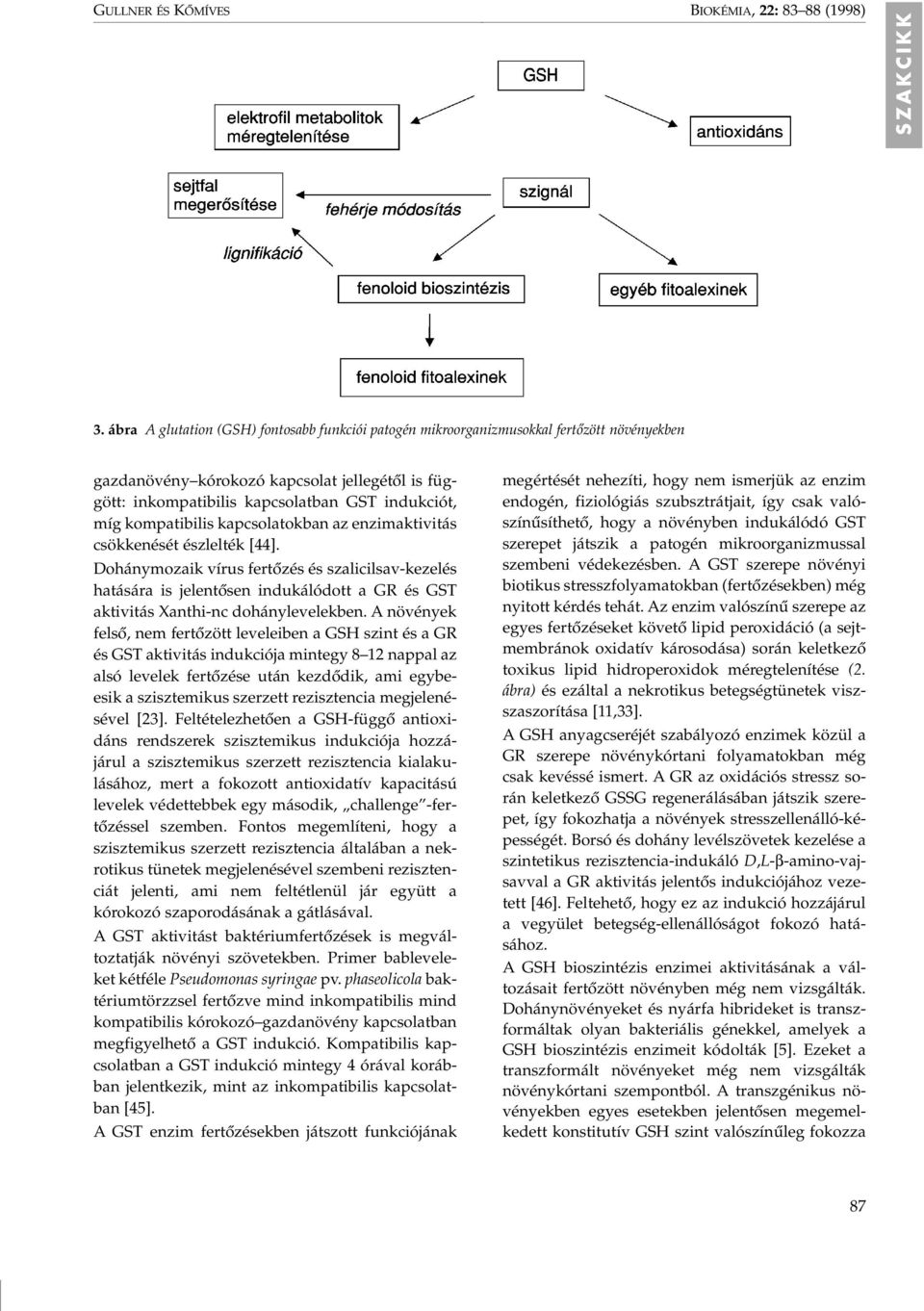 kompatibilis kapcsolatokban az enzimaktivitás csökkenését észlelték [44].