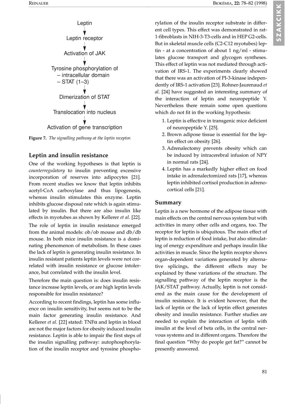 Leptin and insulin resistance BIOKÉMIA, 22: 78 82 (1998) One of the working hypotheses is that leptin is counterregulatory to insulin preventing excessive incorporation of reserves into adipocytes