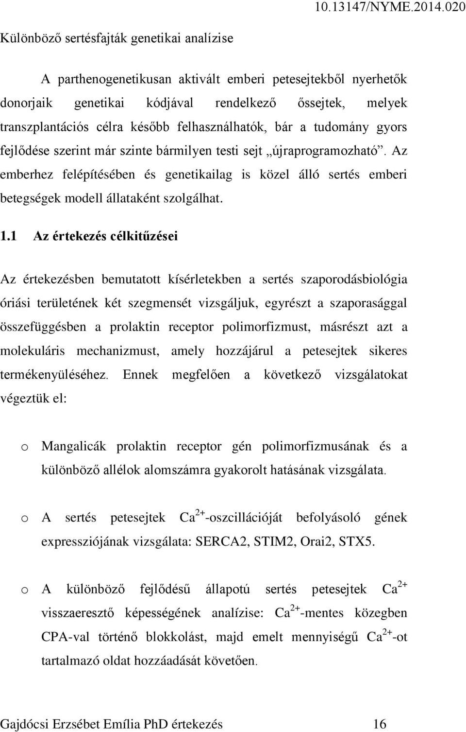 1 Az értekezés célkitűzései Az értekezésben bemutatott kísérletekben a sertés szaporodásbiológia óriási területének két szegmensét vizsgáljuk, egyrészt a szaporasággal összefüggésben a prolaktin