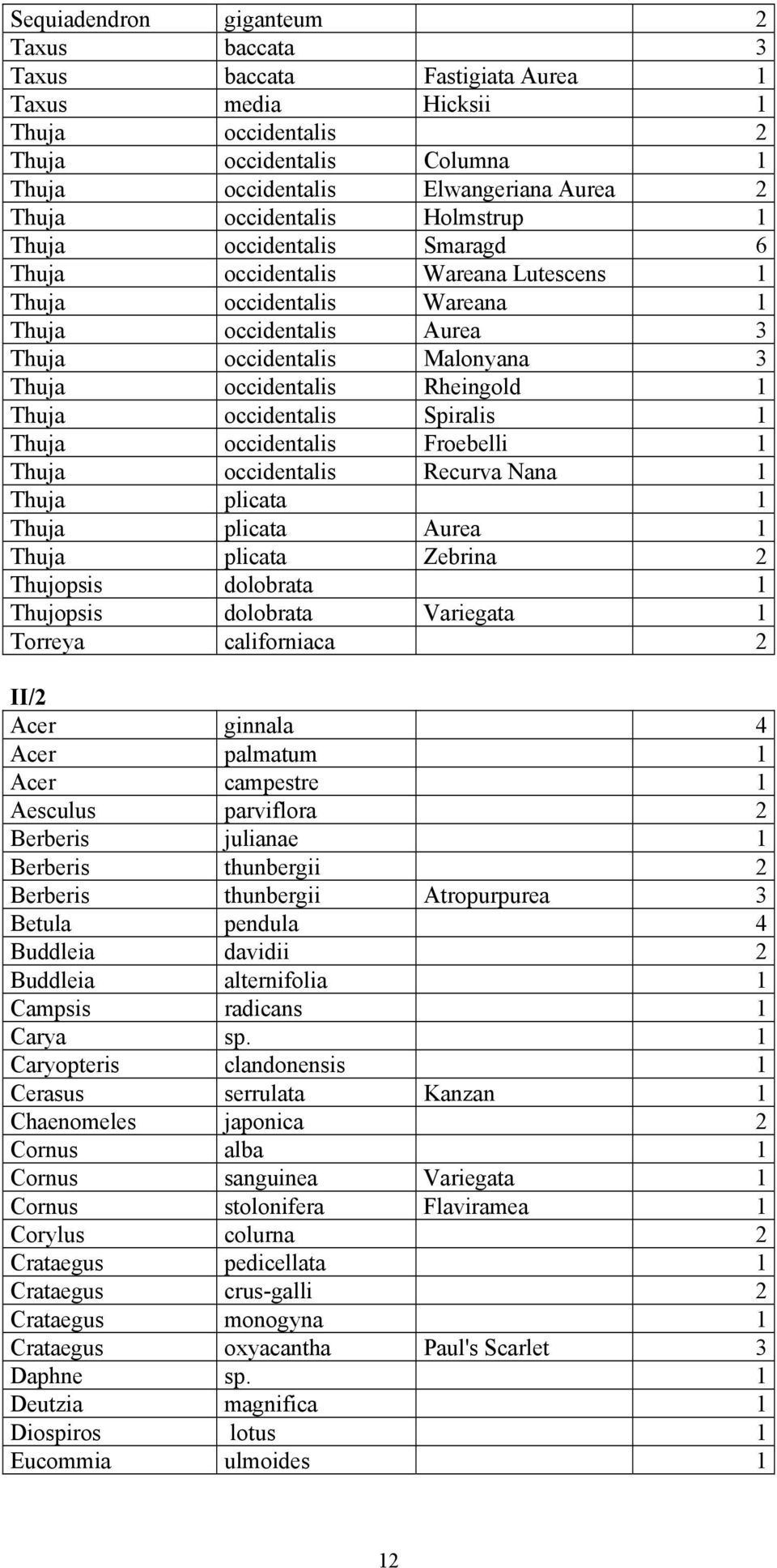 Rheingold 1 Thuja occidentalis Spiralis 1 Thuja occidentalis Froebelli 1 Thuja occidentalis Recurva Nana 1 Thuja plicata 1 Thuja plicata Aurea 1 Thuja plicata Zebrina 2 Thujopsis dolobrata 1