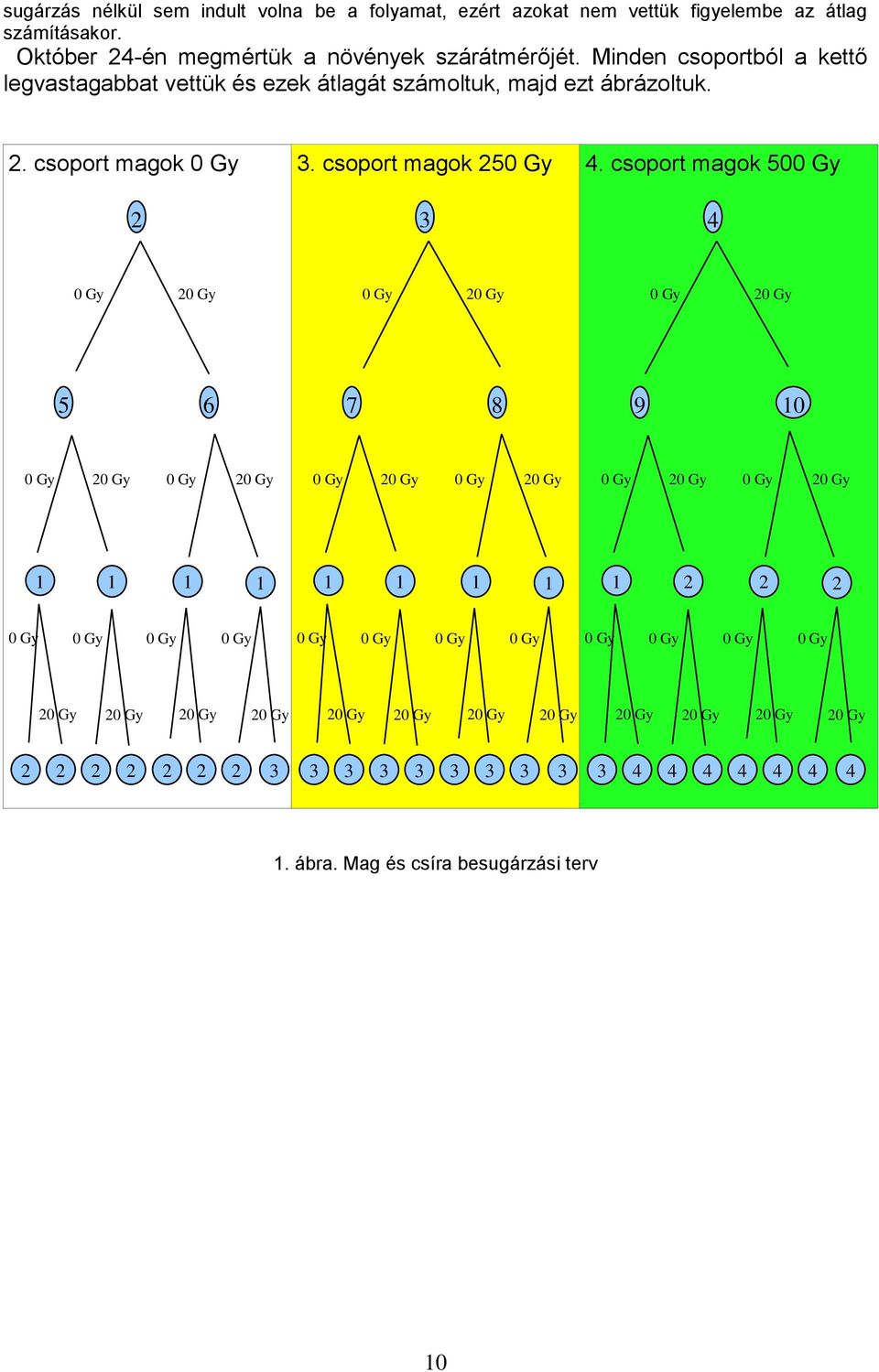 csoport magok 500 Gy 2 3 4 0 Gy 20 Gy 0 Gy 20 Gy 0 Gy 20 Gy 5 6 7 8 9 10 0 Gy 20 Gy 0 Gy 20 Gy 0 Gy 20 Gy 0 Gy 20 Gy 0 Gy 20 Gy 0 Gy 20 Gy 1 1 1 2 1 3 1 4 1 5 1 6 1 7 1 8 1 9 2 0 2 1 2 2 0
