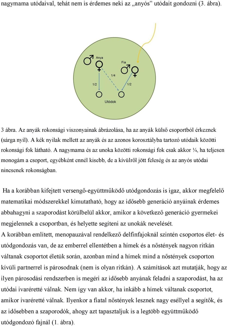 A nagymama és az unoka közötti rokonsági fok csak akkor ¼, ha teljesen monogám a csoport, egyébként ennél kisebb, de a kívülről jött feleség és az anyós utódai nincsenek rokonságban.