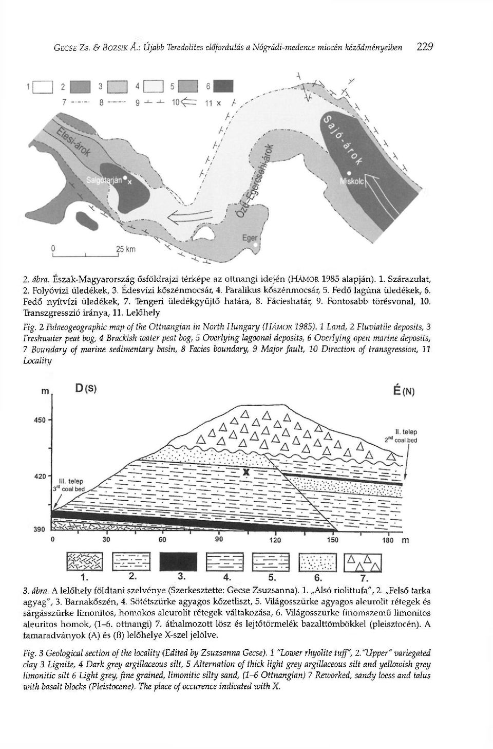 Fontosabb törésvonal, 10. Transzgresszió iránya, 11. Lelőhely Fig. 2 Palaeogeographic map ofthe Ottnangian in North Hungary (HÁMOR 1985).