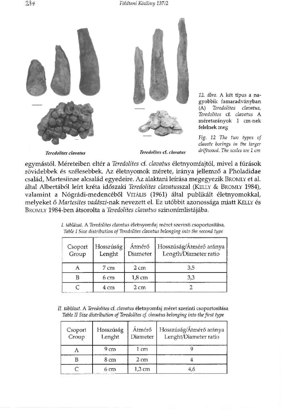 clavatus életnyomfajtól, mivel a fúrások rövidebbek és szélesebbek. Az életnyomok mérete, iránya jellemző a Pholadidae család, Martesiinae alcsalád egyedeire.