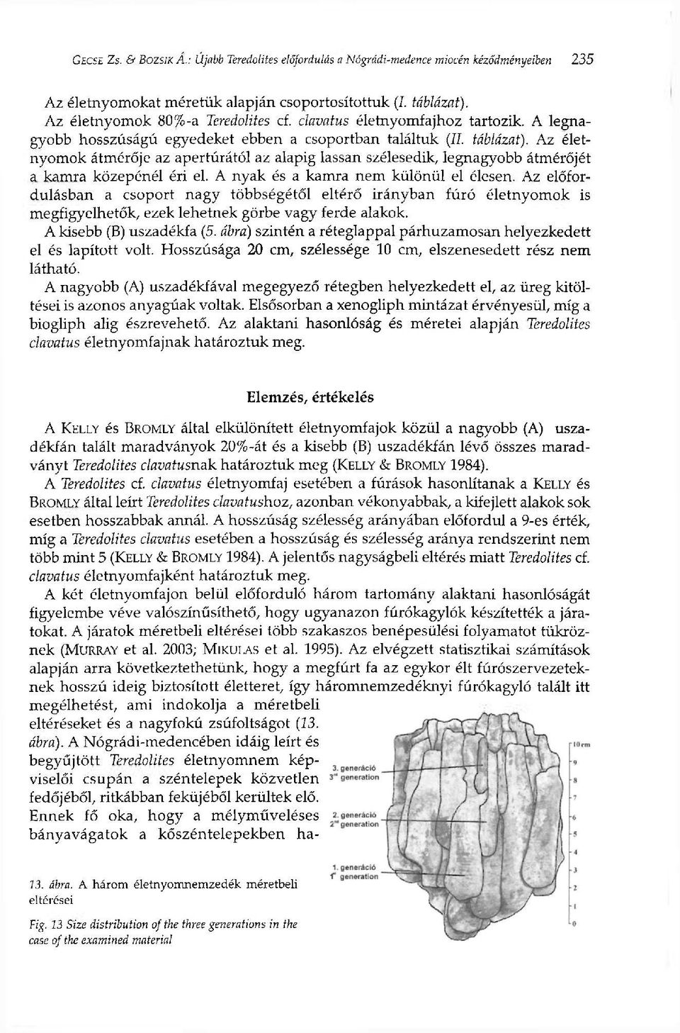 Az életnyomok átmérője az apertúrától az alapig lassan szélesedik, legnagyobb átmérőjét a kamra közepénél éri el. A nyak és a kamra nem különül el élesen.