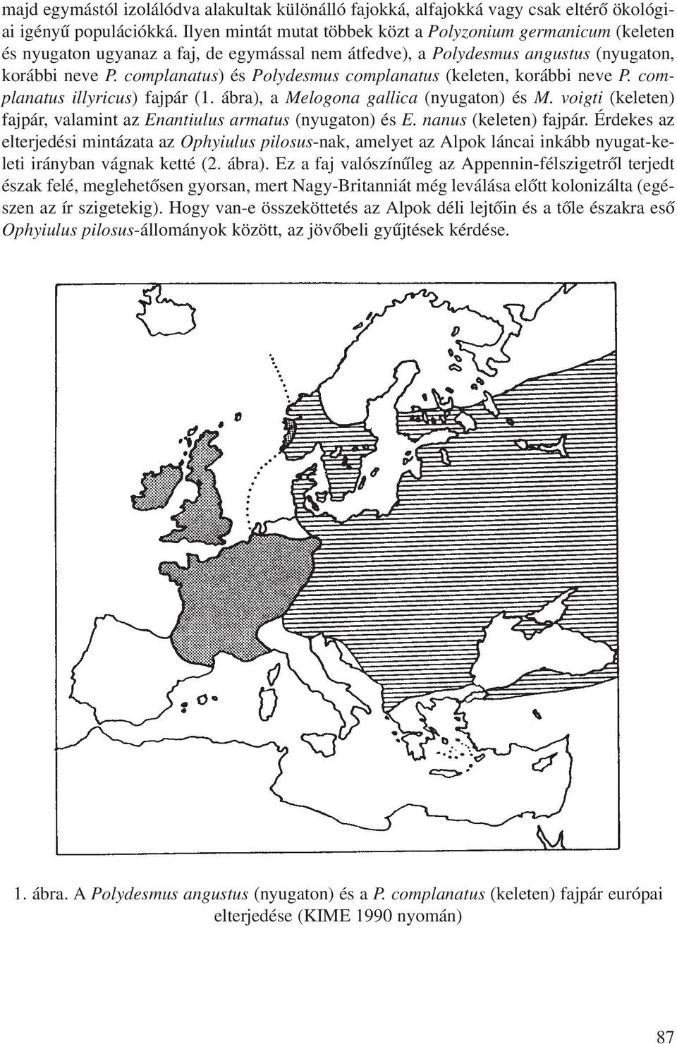complanatus) és Polydesmus complanatus (keleten, korábbi neve P. complanatus illyricus) fajpár (1. ábra), a Melogona gallica (nyugaton) és M.