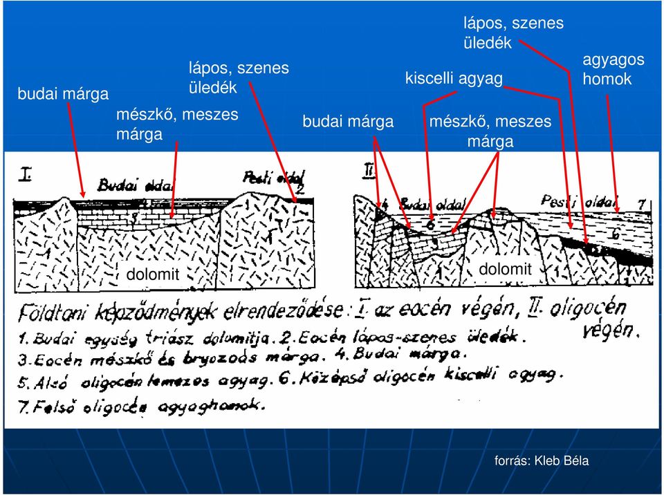 lápos, szenes üledék mészkő, meszes márga