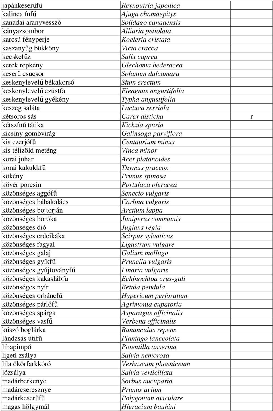 Typha angustifolia keszeg saláta Lactuca serriola kétsoros sás Carex disticha r kétszínű tátika Kickxia spuria kicsiny gombvirág Galinsoga parviflora kis ezerjófű Centaurium minus kis télizöld meténg