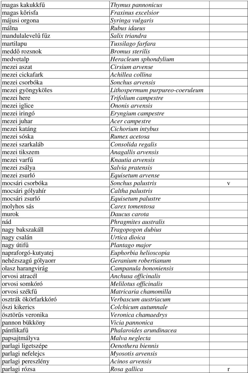 Trifolium campestre mezei iglice Ononis arvensis mezei iringó Eryngium campestre mezei juhar Acer campestre mezei katáng Cichorium intybus mezei sóska Rumex acetosa mezei szarkaláb Consolida regalis