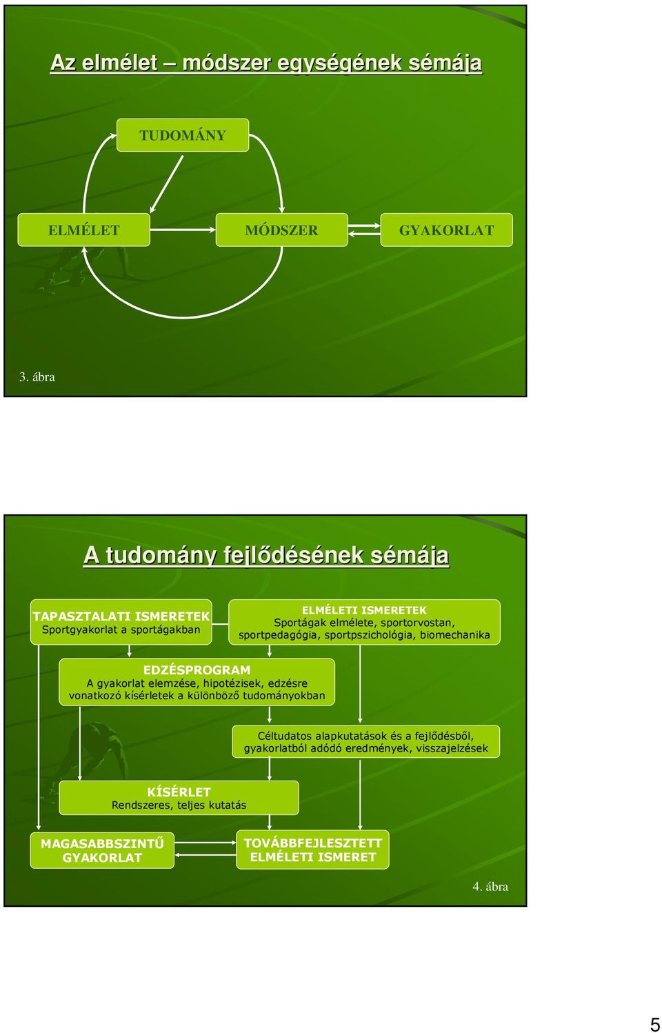 sportorvostan, sportpedagógia, sportpszichológia, biomechanika EDZÉSPROGRAM A gyakorlat elemzése, hipotézisek, edzésre vonatkozó kísérletek a