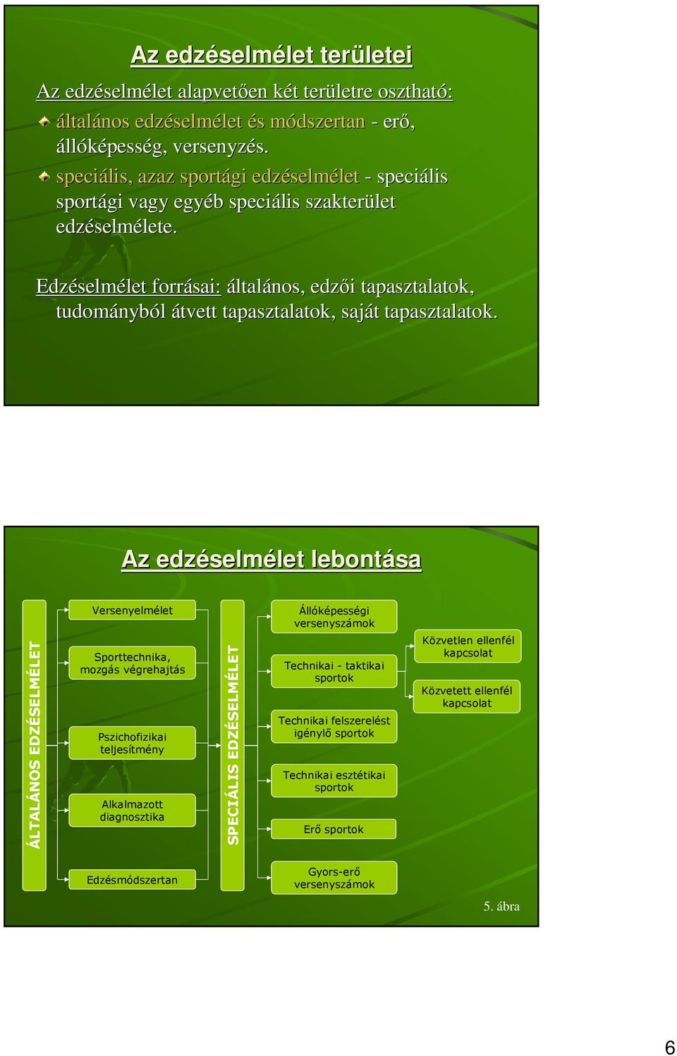 selmélet let lebontása ÁLTALÁNOS EDZÉSELMÉLET Versenyelmélet Sporttechnika, mozgás végrehajtás Pszichofizikai teljesítmény Alkalmazott diagnosztika SPECIÁLIS EDZÉSELMÉLET Állóképességi versenyszámok